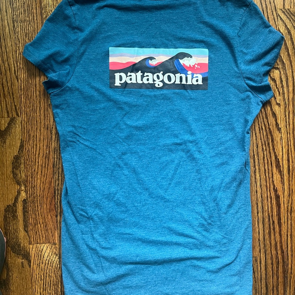 Patagonia Teal T